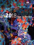 Maine Medical Center Research Institute: 2018 Year in Review