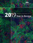 Maine Medical Center Research Institute: 2019 Year in Review