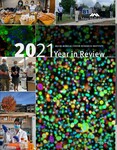Maine Medical Center Research Institute: 2021 Year in Review