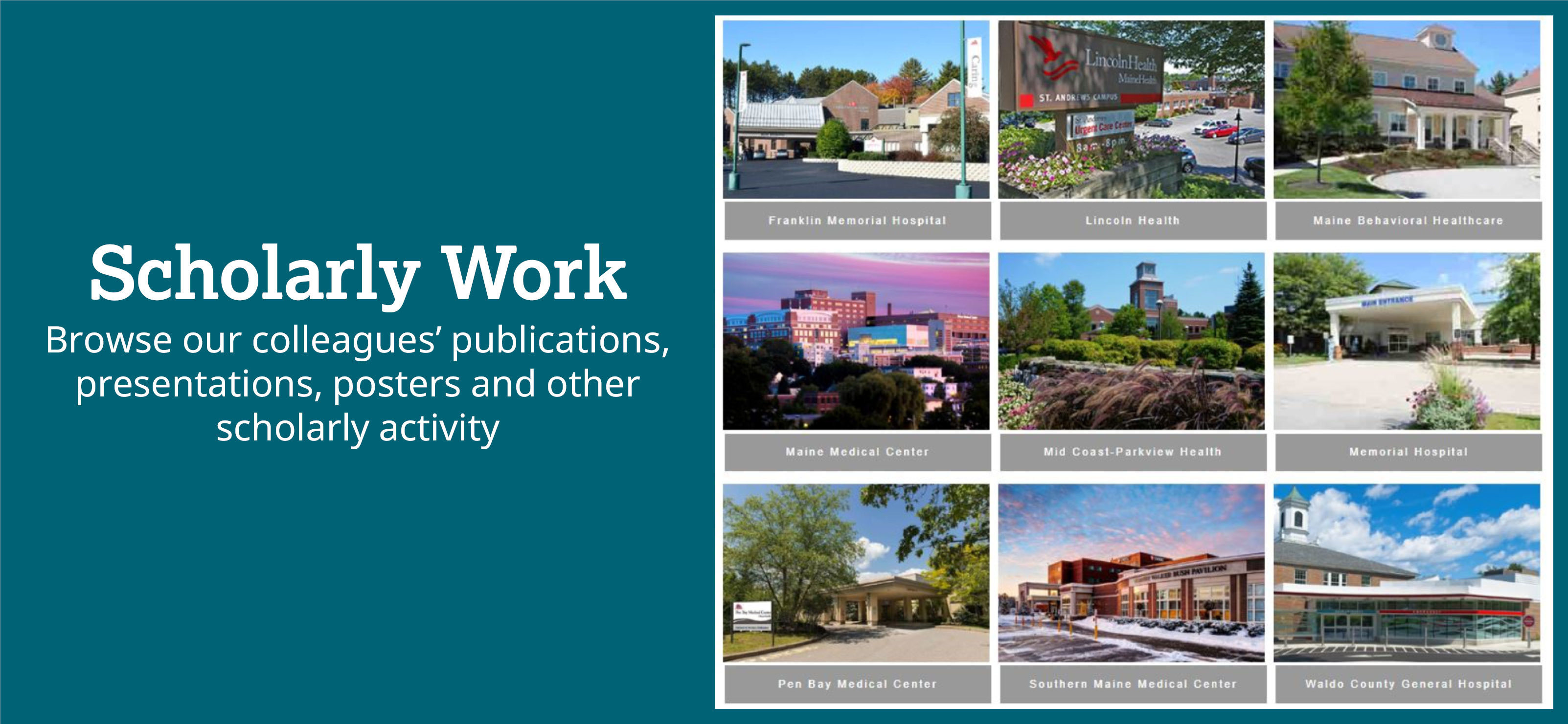 Scholarly Work (new)