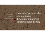 Control of perivascular adipose tissue differentiation during cardiovascular disease