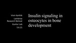 Insulin Signaling in Osteocytes in Bone Development