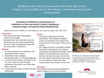 Perceptions of Self-Efficacy and Experiences of Mindfulness on Pain and Anxiety in Patients Undergoing a Colorectal Surgery: A Prospective Mixed Methods Study by Rebecca Brown, Julie Fitzgibbons, and Rachel Farrington