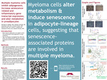 Multiple myeloma cells Graphs and Figures inhibit adipogenesis, increase senescencerelated and inflammatory gene transcript expression, and alter metabolism in preadipocytes