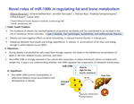 Novel roles of miR-199b in regulating fat and bone metabolism