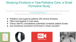 Studying Emotions in Tele-Palliative Care, a Small Formative Study