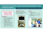 Telemedicine Consultation to Assess Neonatal Encephalopathy in Rural Community Hospitals by Rachel Coffey, Misty Melendi, Anya J. Cutler, and Alexa K. Craig
