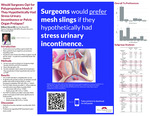 Would Surgeons Opt for Polypropylene Mesh if They Hypothetically Had Stress Urinary Incontinence or Pelvic Organ Prolapse? by William J. Devan, Sanchita Bose, Dayron Rodriguez, Ricardo Munarriz, and Linda Ng