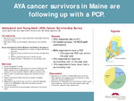 Adolescent and Young Adult (AYA) Cancer Survivorship Survey by Amy Haskins, Christina Holt, Lauren Boehm, and Ashley Speckhart