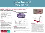 Early Warning: Exploring Risk Factors for Hospital Acquired Pressure Injuries Using the Electronic Medical Record