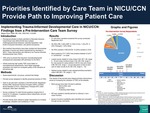 Implementing Trauma-Informed Developmental Care in NICU/CCN: Findings from a Pre-Intervention Care Team Survey by Megan Flynn