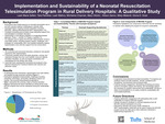 Implementation and Sustainability of a Neonatal Resuscitation Telesimulation Program in Rural Delivery Hospitals: A Qualitive Study
