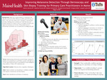 Improving Melanoma Detection Through Dermoscopy and Skin Biopsy Training for Primary Care Practitioners in Maine