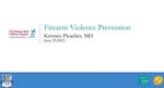 Firearm Violence Prevention by Kristine Pleacher