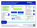 Testing a Peer Support Program for Parents of Infants Going Home from the NICU